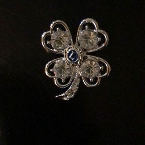 Ladies Silver Tone Pin